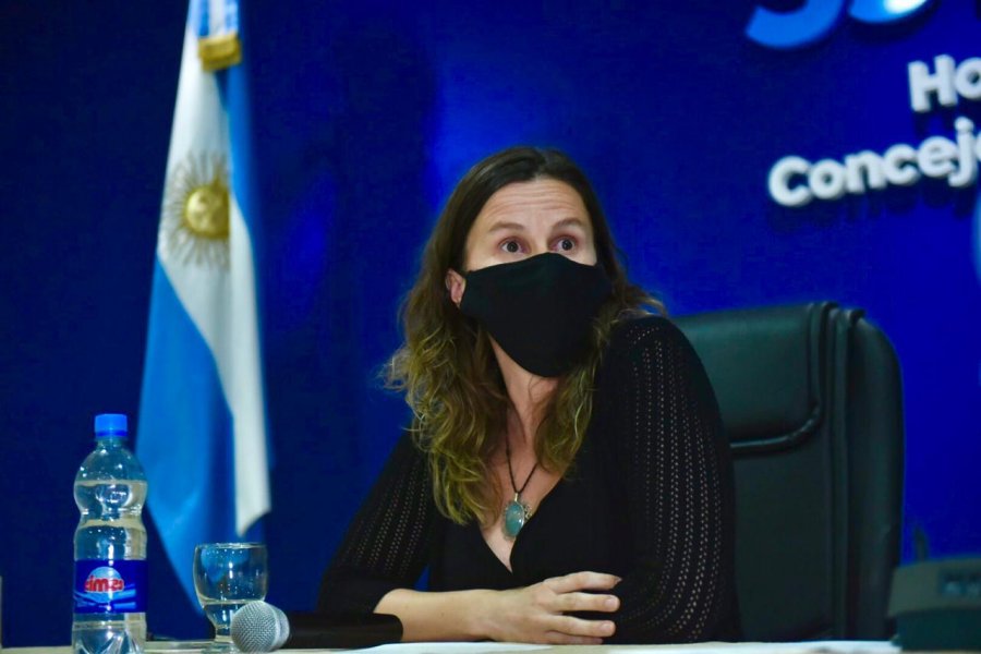 Marisa Follonier otra vez hizo uso de su banca.